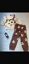 Cream & Brown Dog Printed Kids Suit For Winter